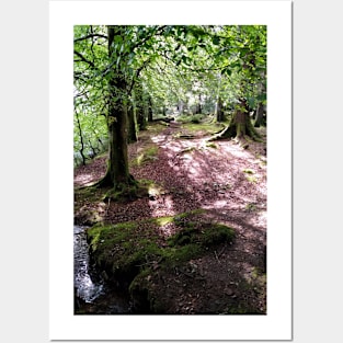 Highland woods near Loch Oich, Scotland Posters and Art